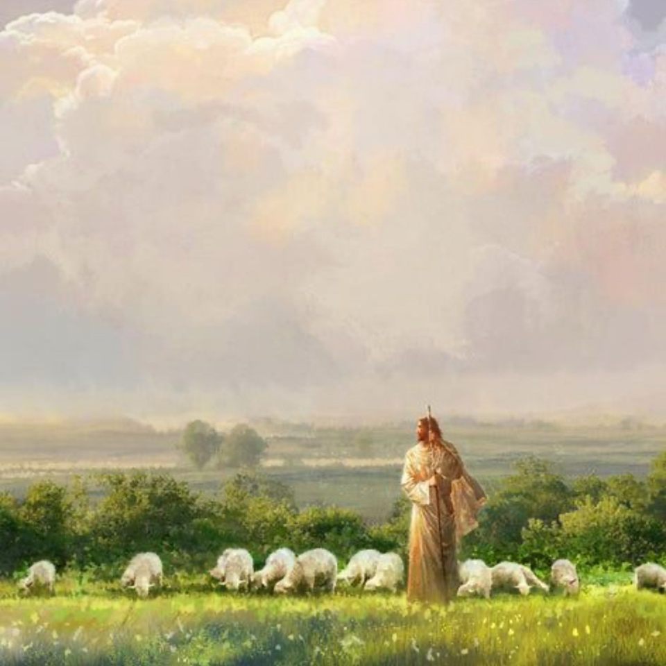 Group avatar for Saint Paul Young Adult Group