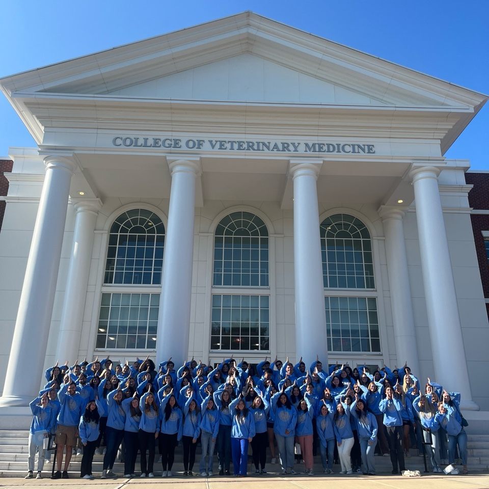 Group avatar for LIU CVM Class of 2028