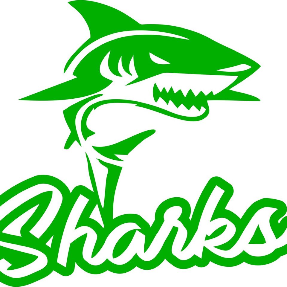 Group avatar for Hedingham Sharks Swim Team