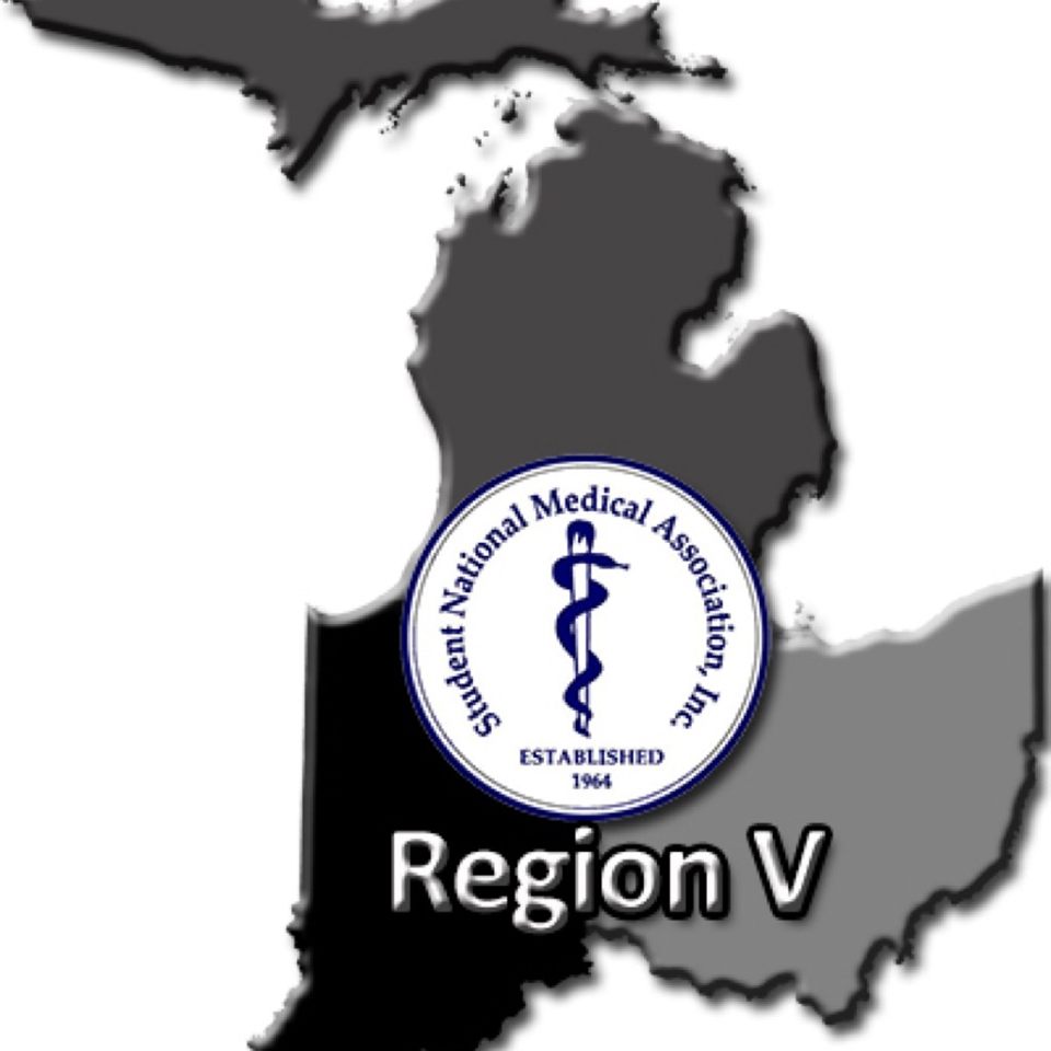 Group avatar for SNMA Region 5 is LiVe