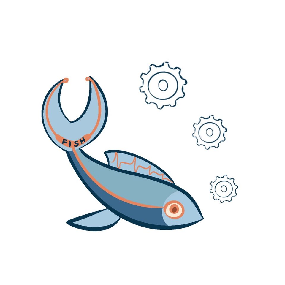 Group avatar for FISH at UVA