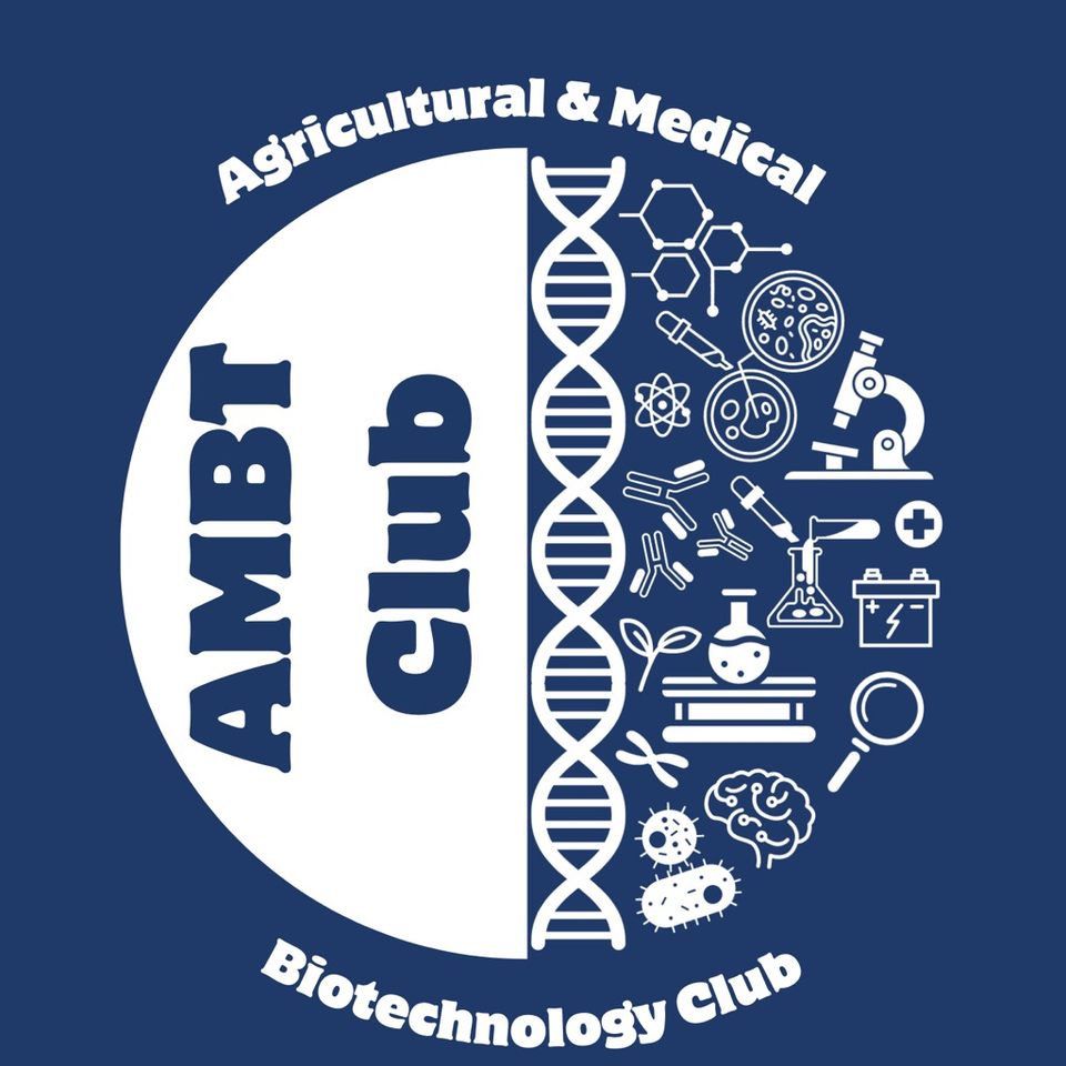 Group avatar for AMBT Community