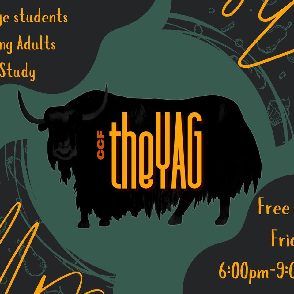 Group avatar for theYAG