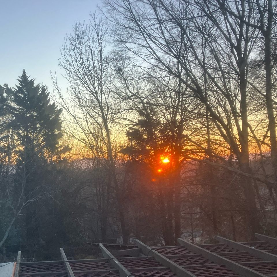 Group avatar for COTH  Young Adults