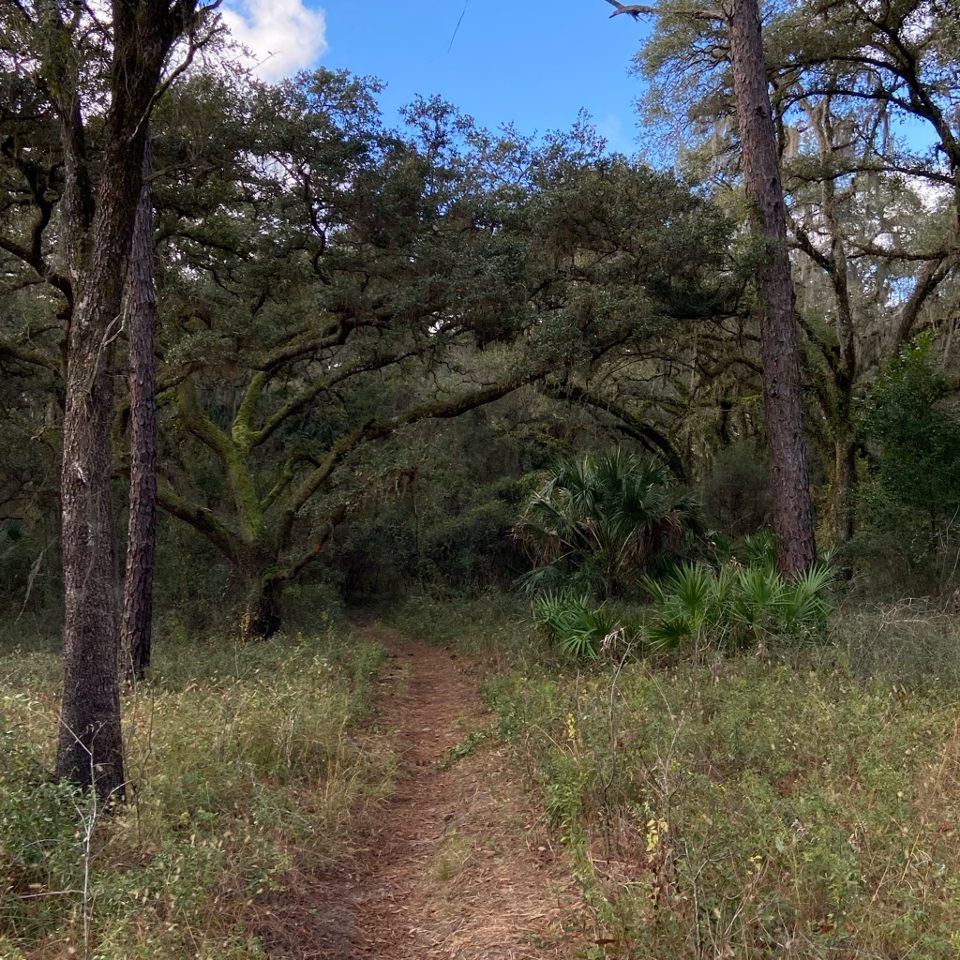 Group avatar for Environmental Club FAU