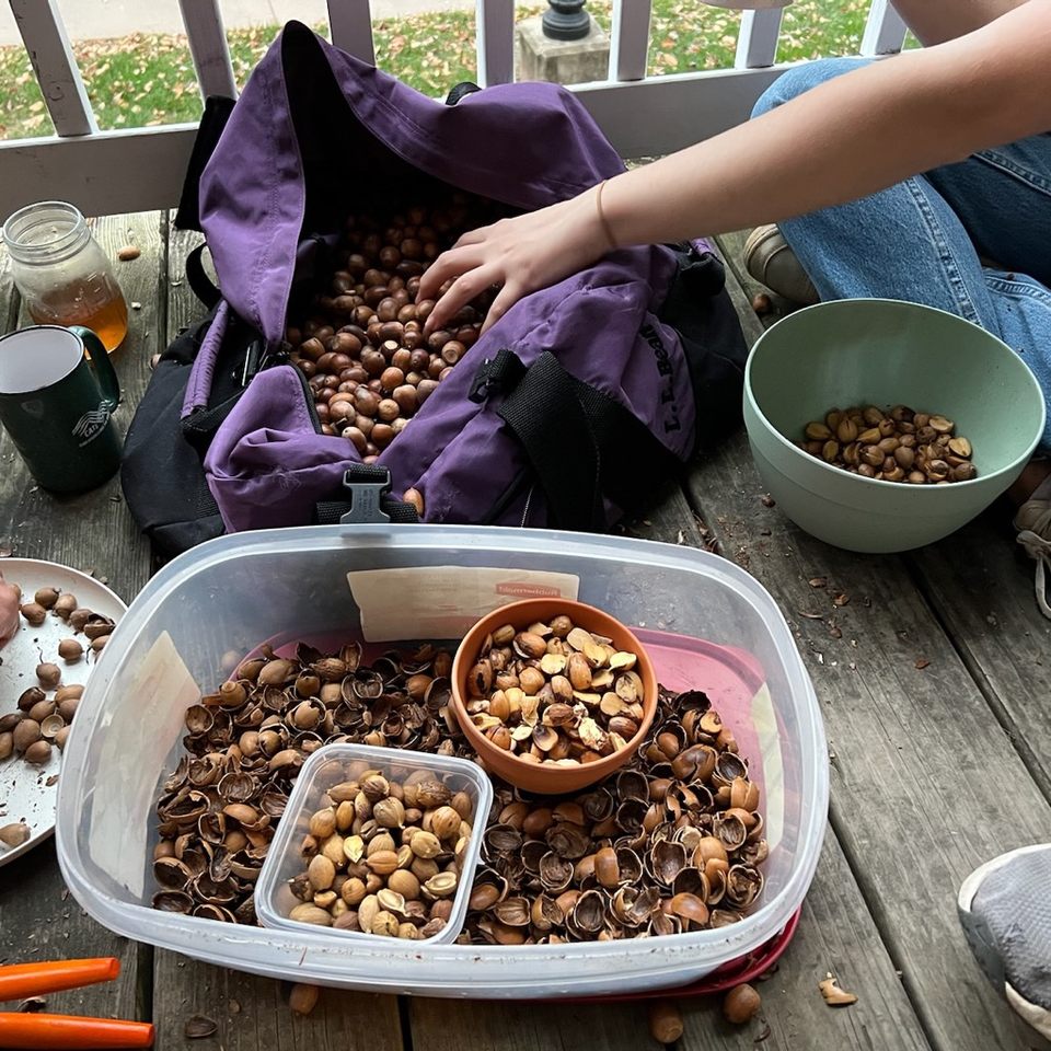 Group avatar for SUSTAINABILITY AND SERVICE