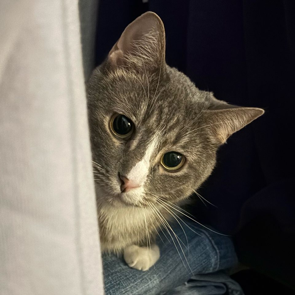 Group avatar for Girl Day ‘25 Volunteers