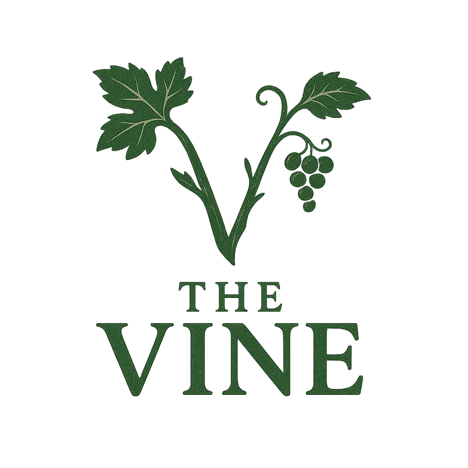 Group avatar for VINE - High School Community