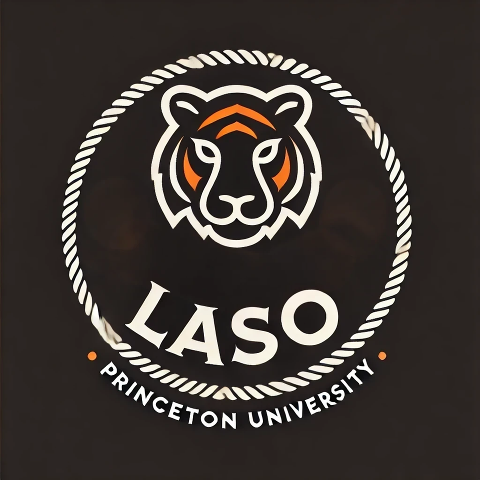 Group avatar for LASO