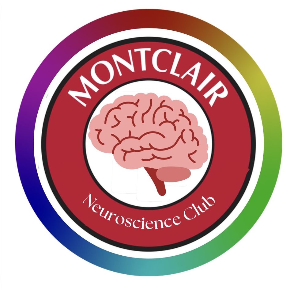 Group avatar for The Neuro Club Volunteers