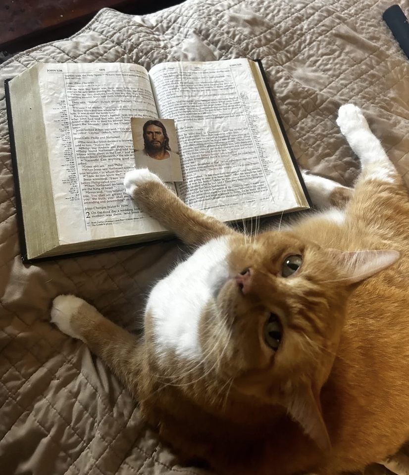 Group avatar for Forgotten &amp; Found: Tuesday Small Group