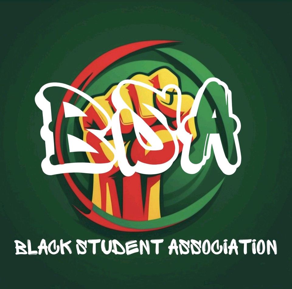 Group avatar for BSA