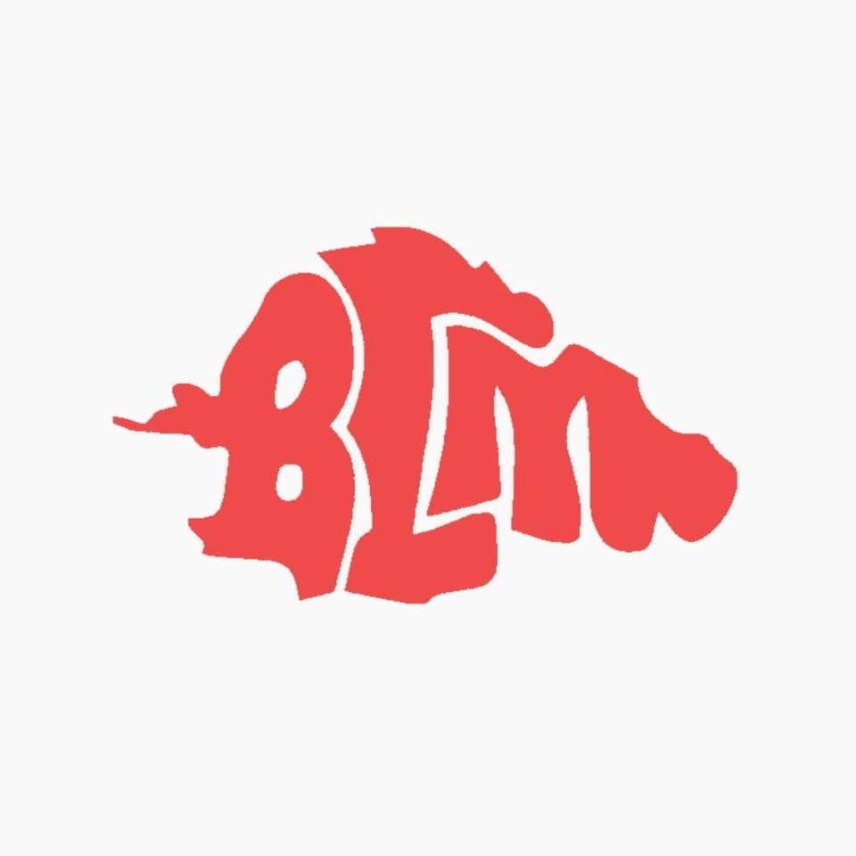 Group avatar for Summer BCM!!
