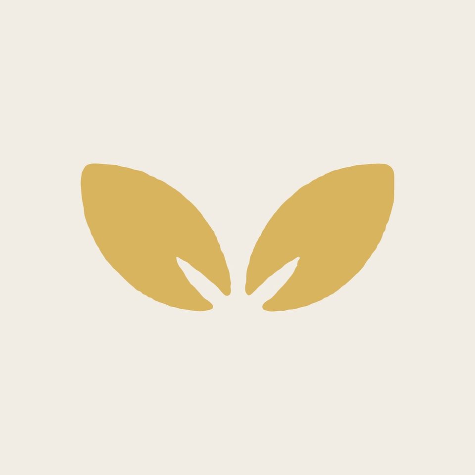 Group avatar for Bloom Creative Ops