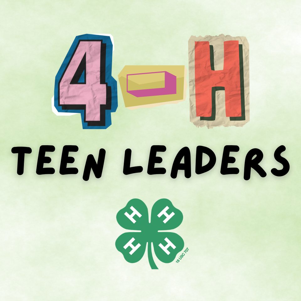 Group avatar for 4-H Teen Leaders 2026
