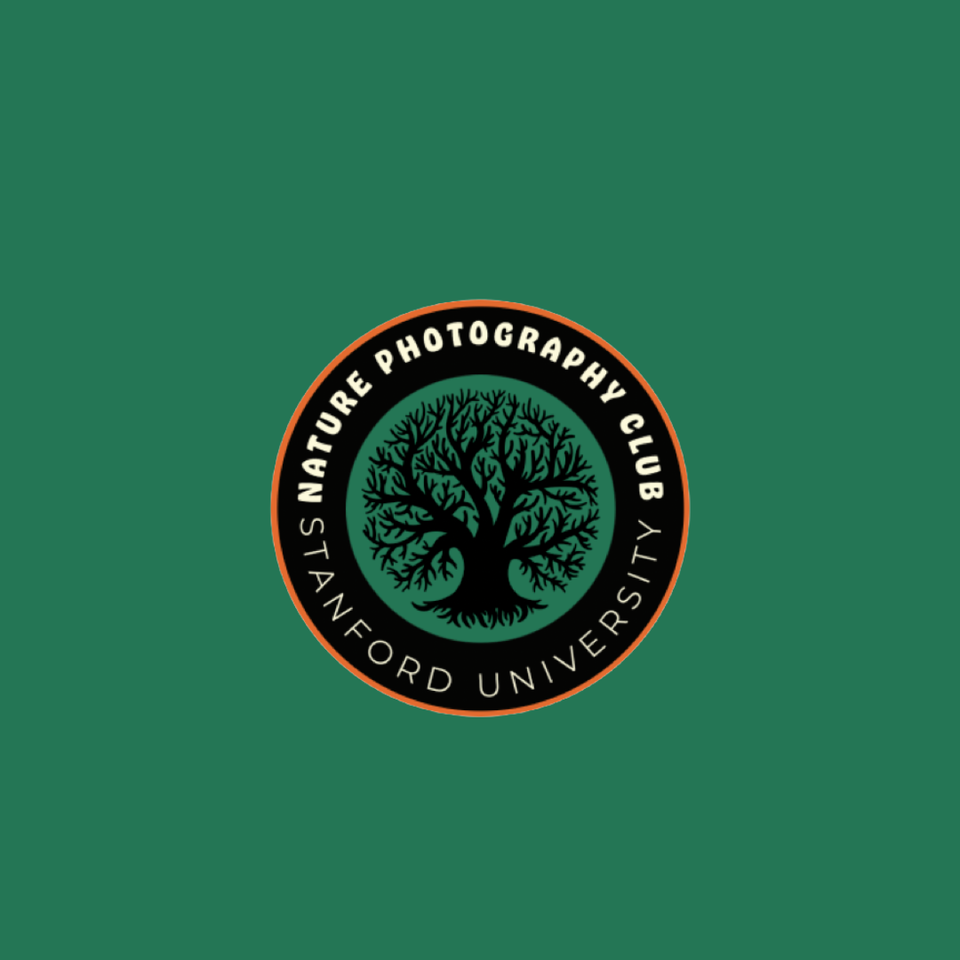 Group avatar for Stanford Nature Photography Club