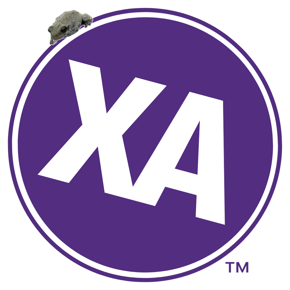 Group avatar for Chi Alpha