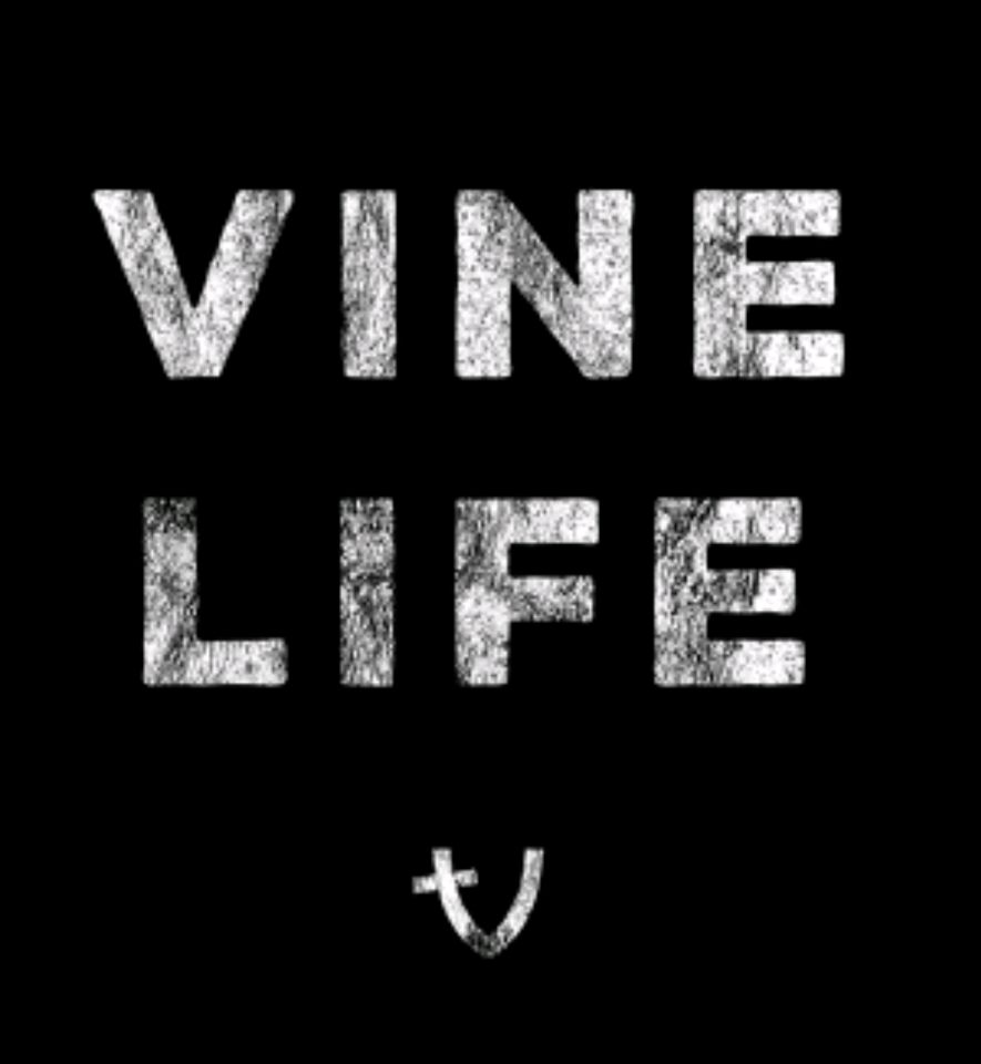 Group avatar for The Vine @ Mount Calvary