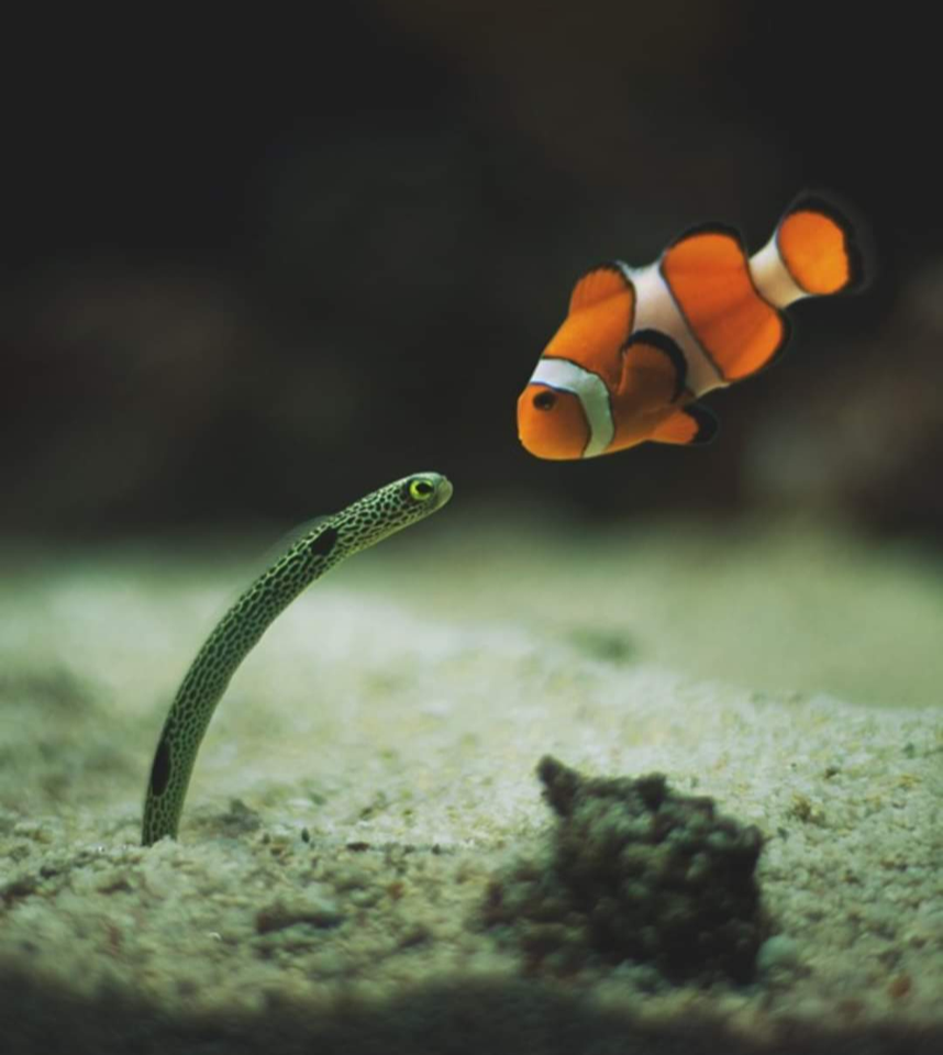 Group avatar for TAMU Ocean 2025-2026