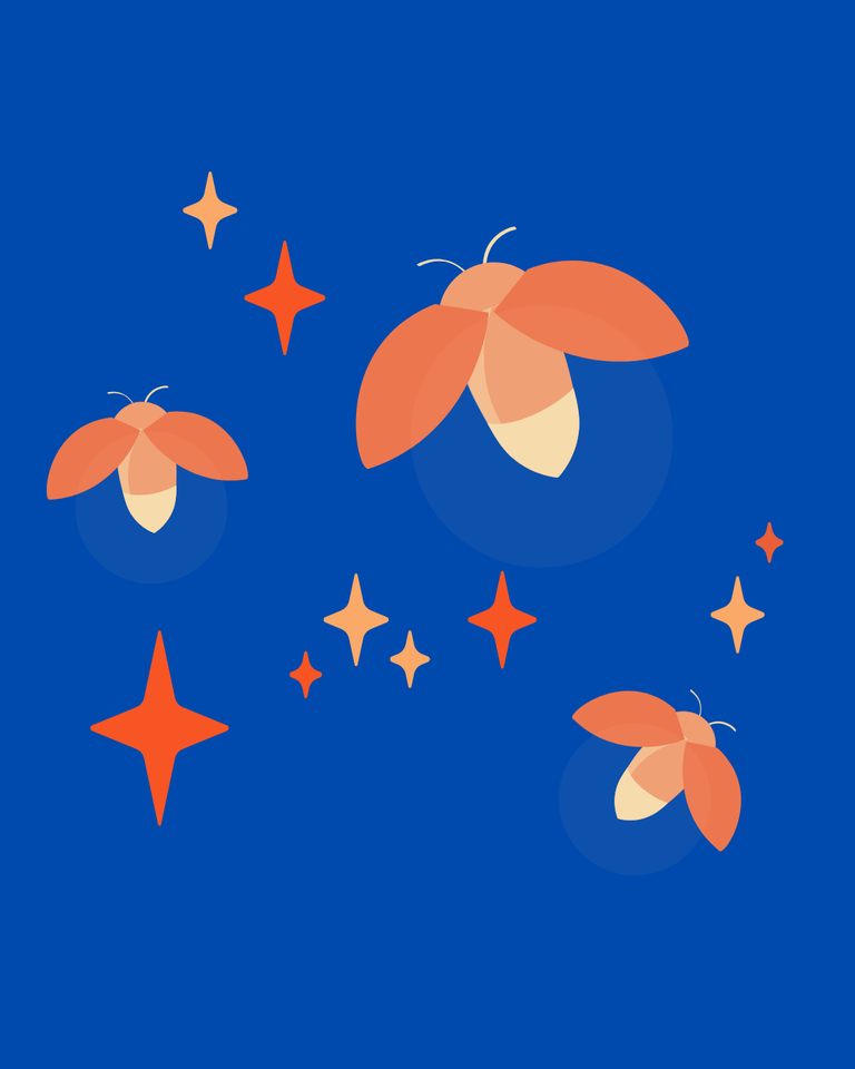 Group avatar for Fireflies 2026