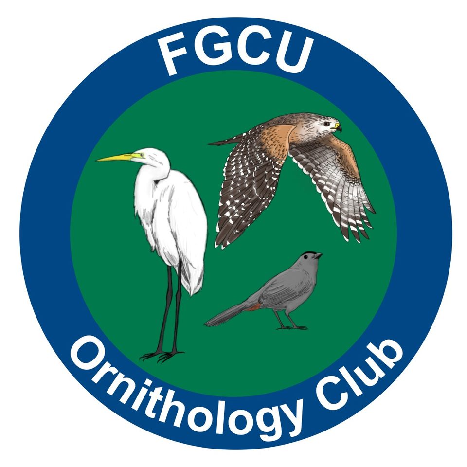 Group avatar for FGCU Ornithology Club
