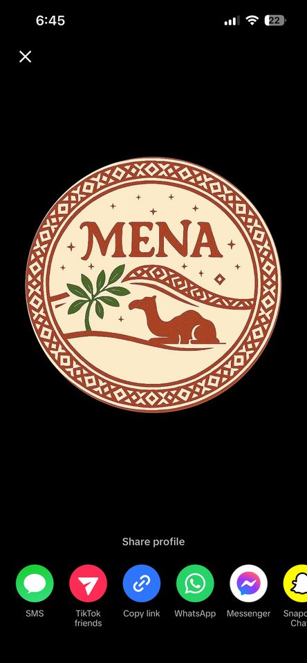 Group avatar for Middle Easterners and North Africans of IU
