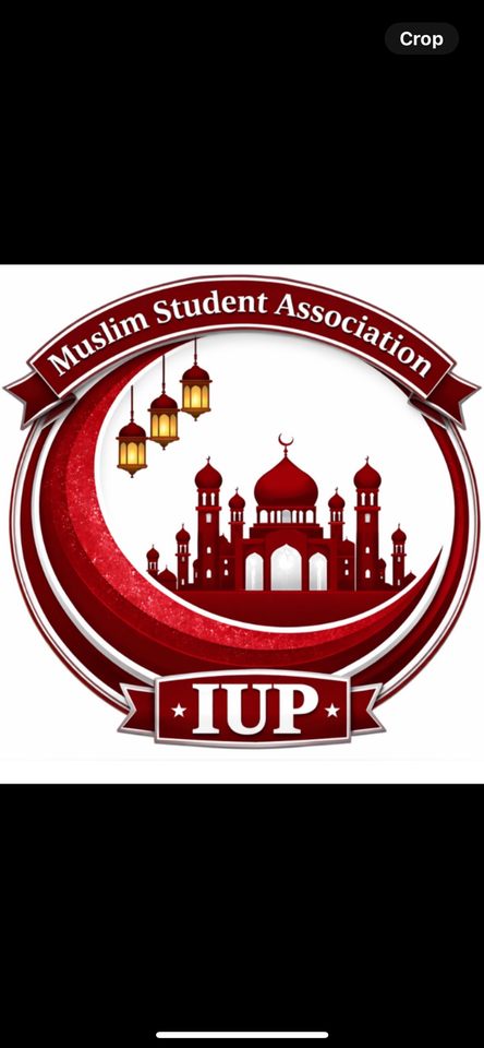 Group avatar for IUP MSA