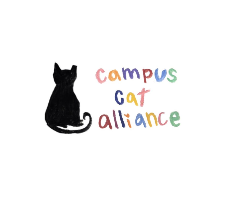 Group avatar for Campus Cat Alliance