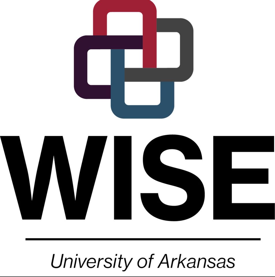 Group avatar for WISE Spring 2026