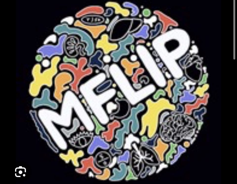 Group avatar for MFLIP 2026-2027