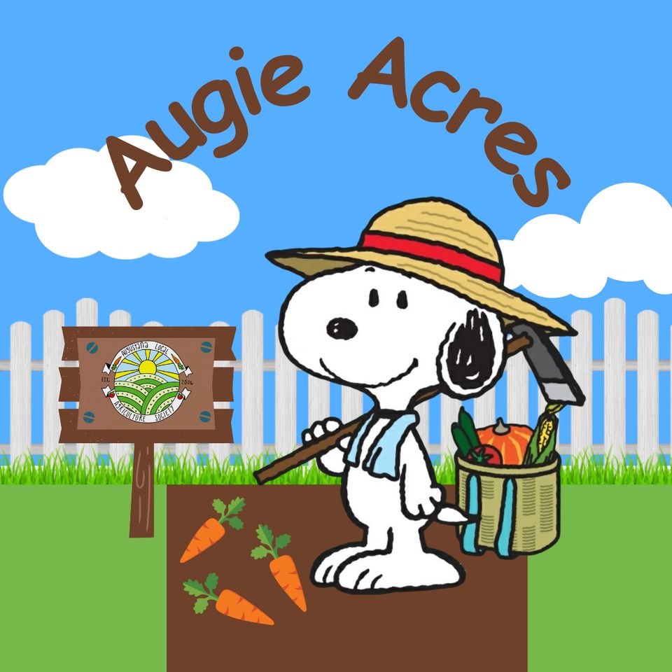 Group avatar for Augie Acres 2025-2026