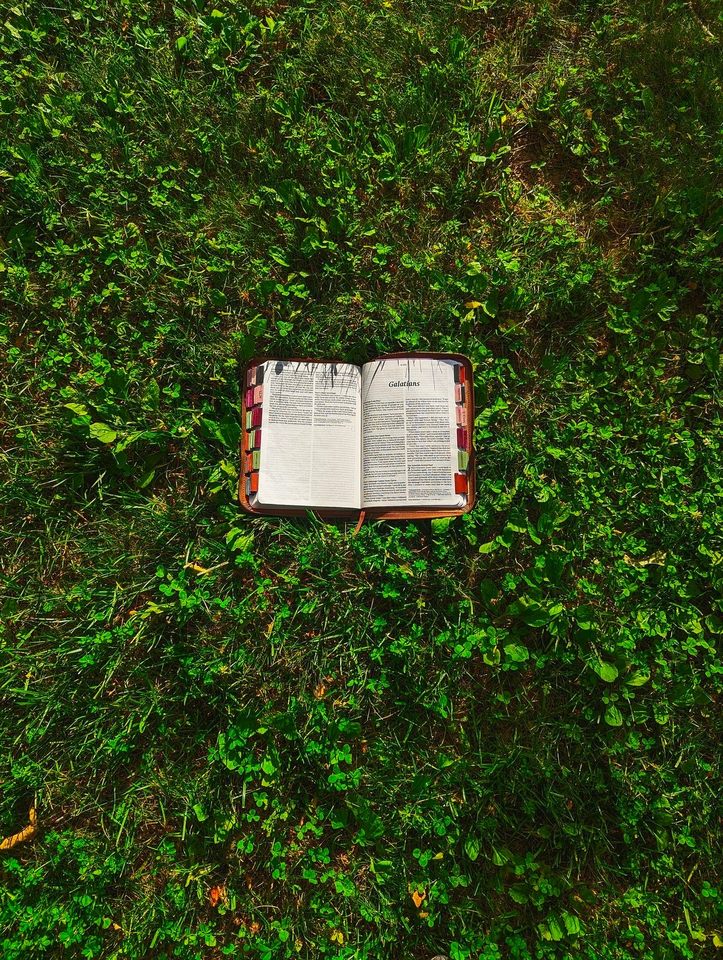 Group avatar for GOSPEL OF JOHN BIBLE STUDY