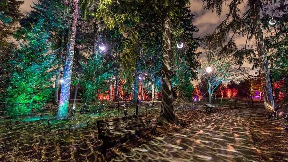 Group avatar for Morton Arboretum Outing