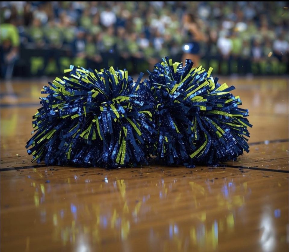 Group avatar for Seahawks mascots 2026💚🎀