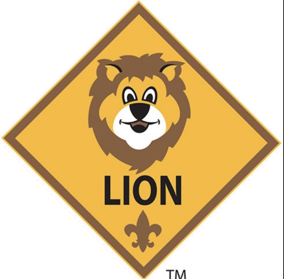Group avatar for Lion Den 3