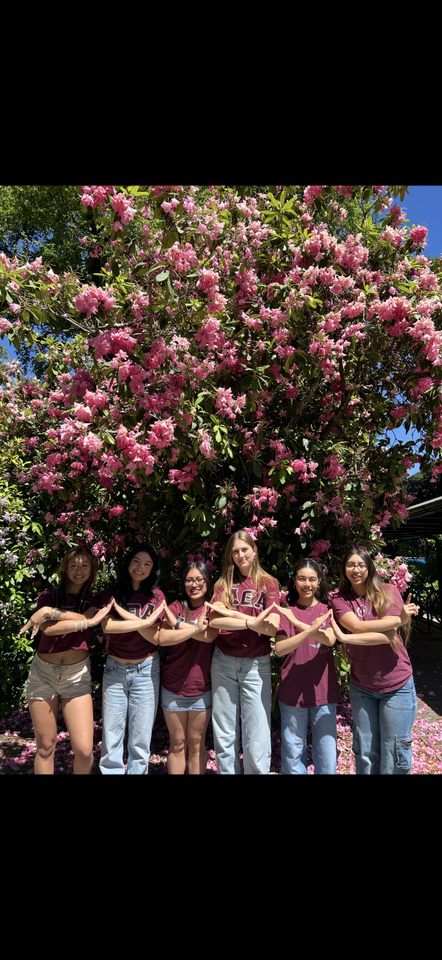 Group avatar for LTA Eta Phi Interest Group