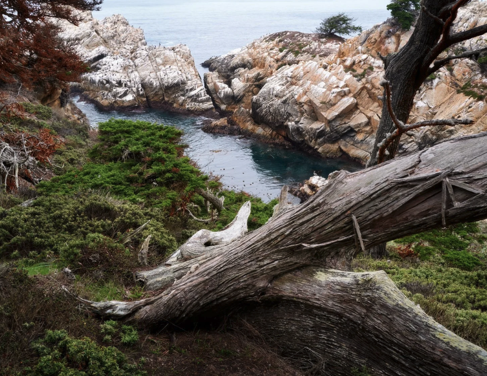 Group avatar for 2026 CI ALPA Escape Big Sur Workshop