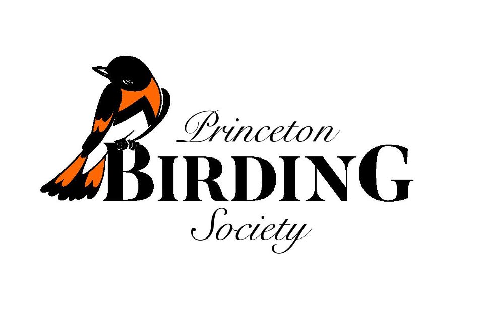 Group avatar for Princeton Birding Society