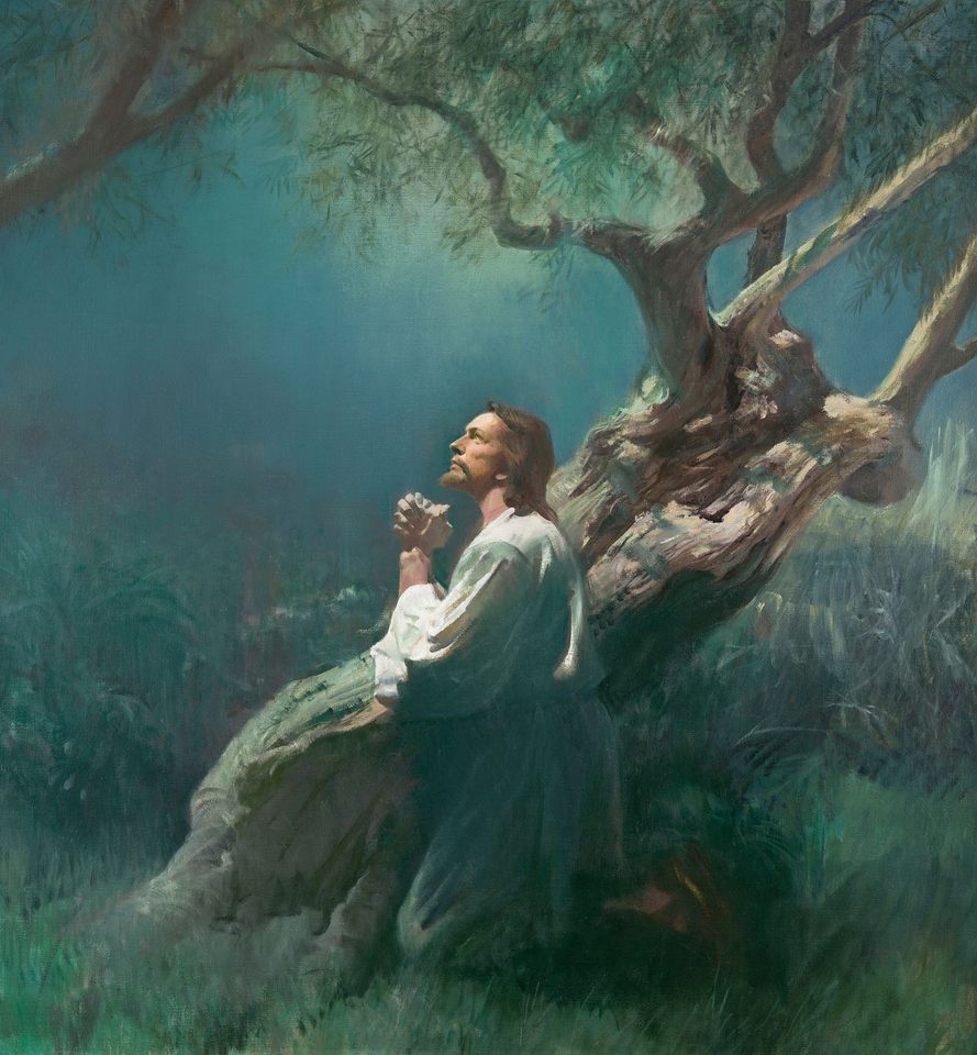 Group avatar for Orem YSA 38th Elders Quorum