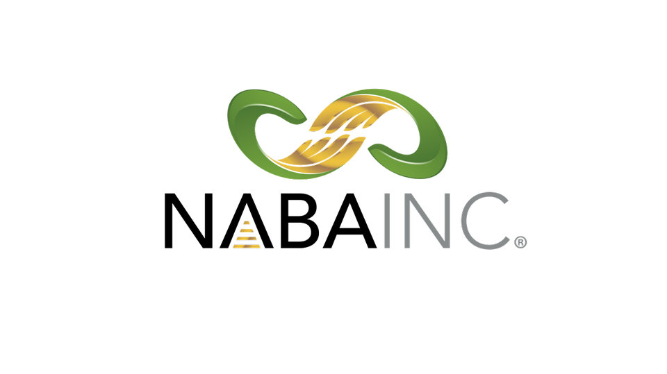 Group avatar for NABA Student Chapter at Valdosta State Uni.