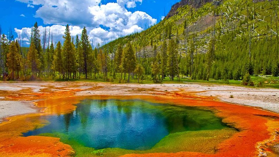 Group avatar for Yellowstone Minyanim Chat 2026