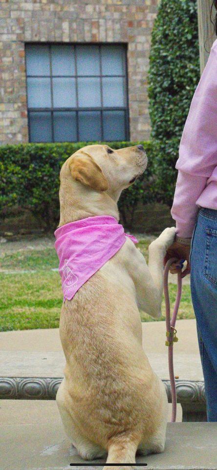 Group avatar for UTD SIT