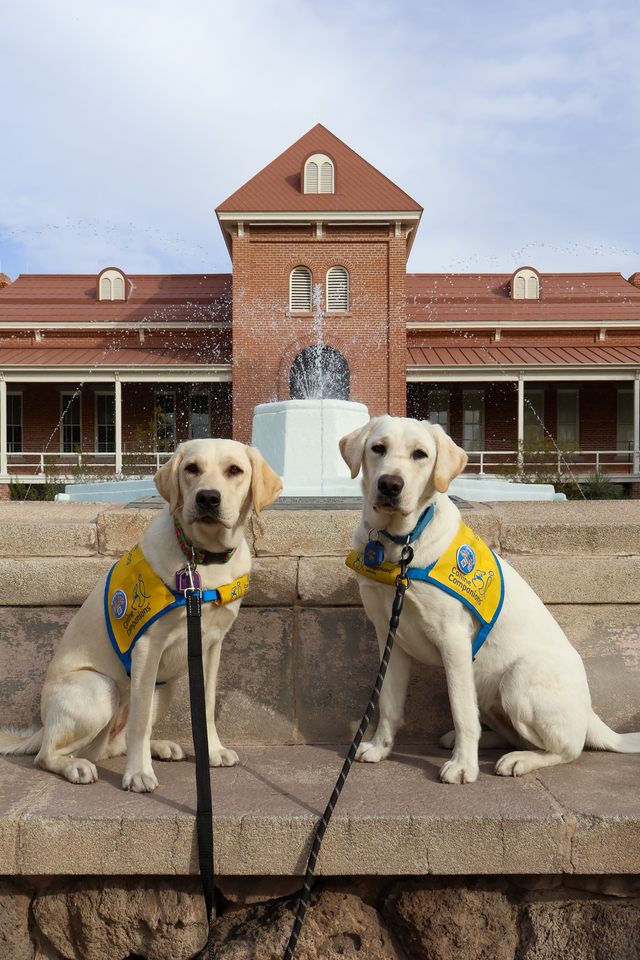 Group avatar for Collar Scholars AZ