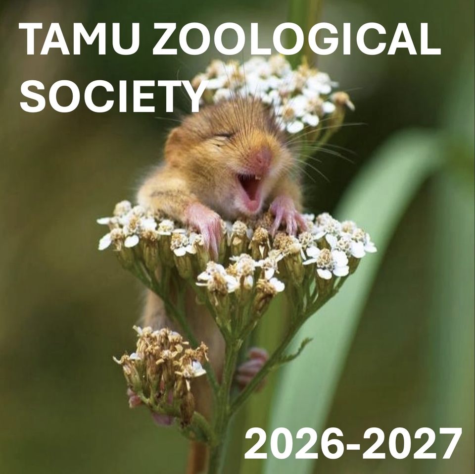 Group avatar for TAMU Zoological Society 2026 - 2027