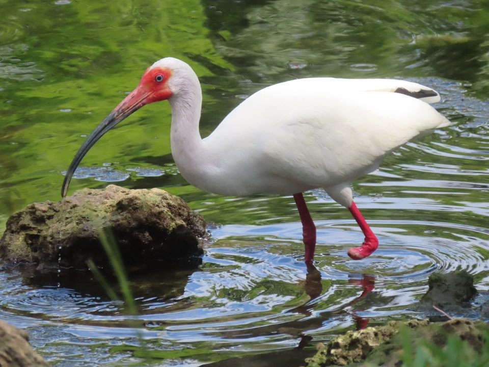 Group avatar for UNaturalist ‘26