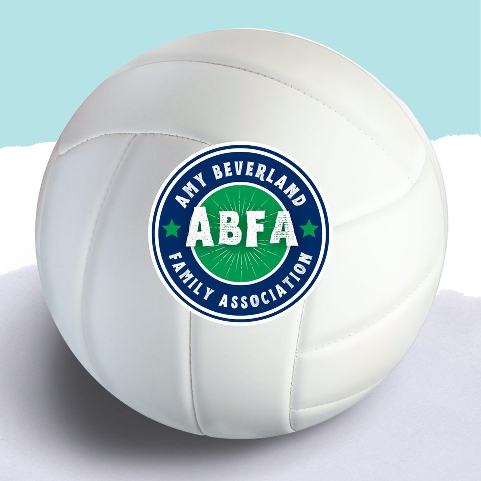 Group avatar for ABE Volleyball League