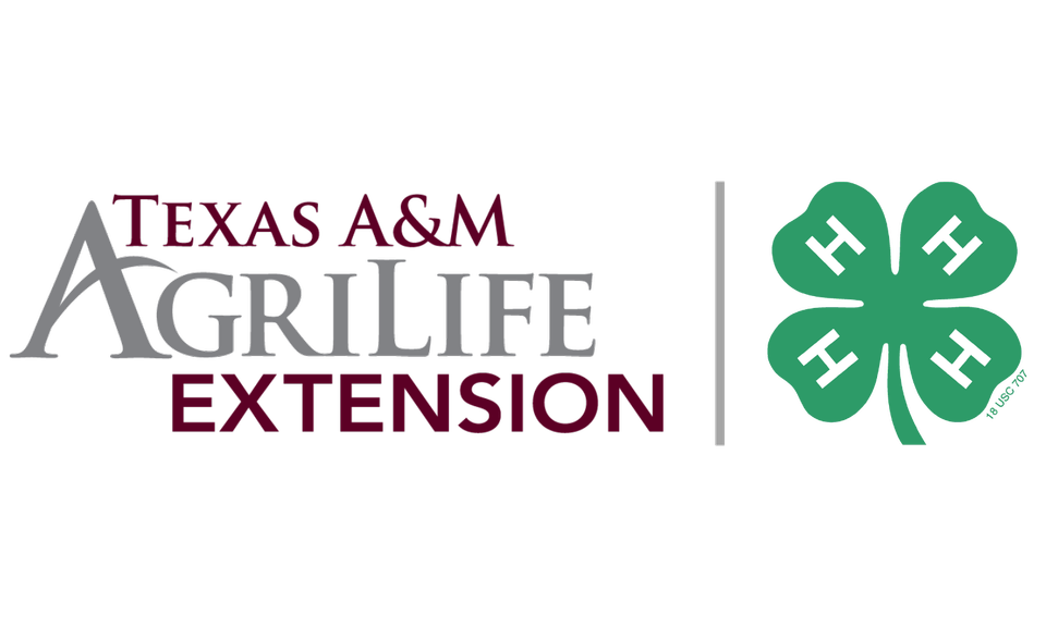 Group avatar for Central TX Invitational Contest