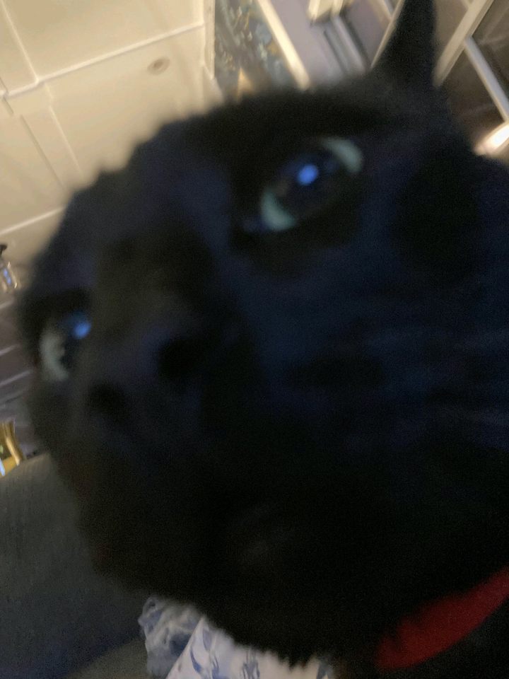 Group avatar for Chill Rocket League