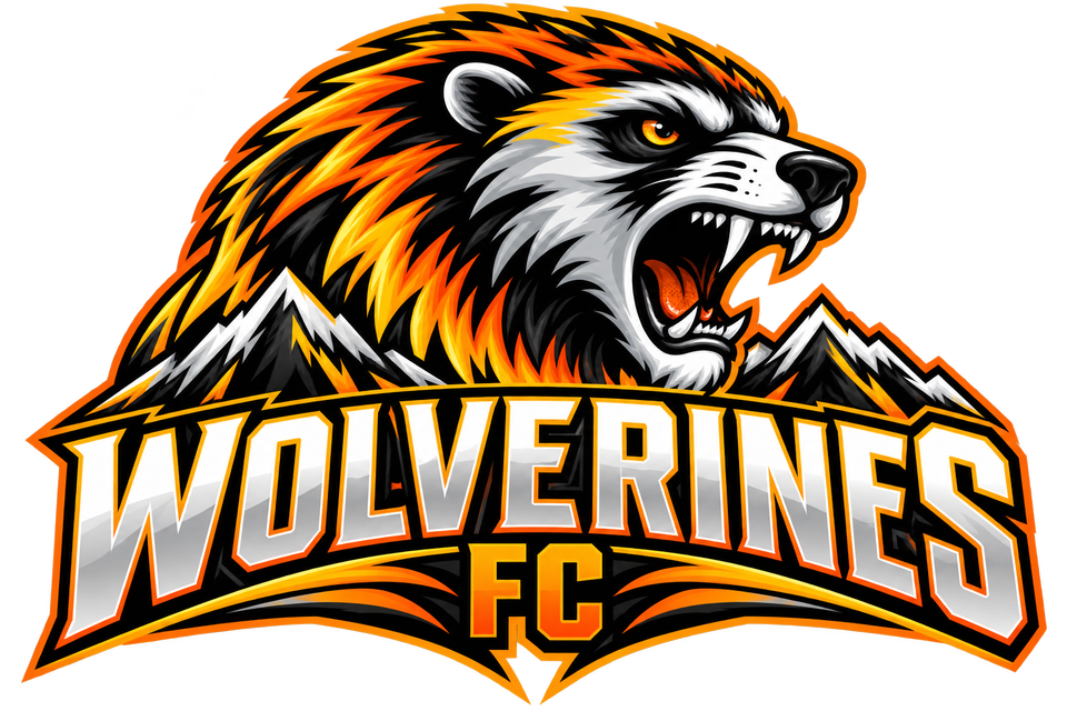 Group avatar for 11U Wolverines