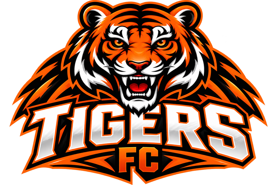 Group avatar for 6U Tigers